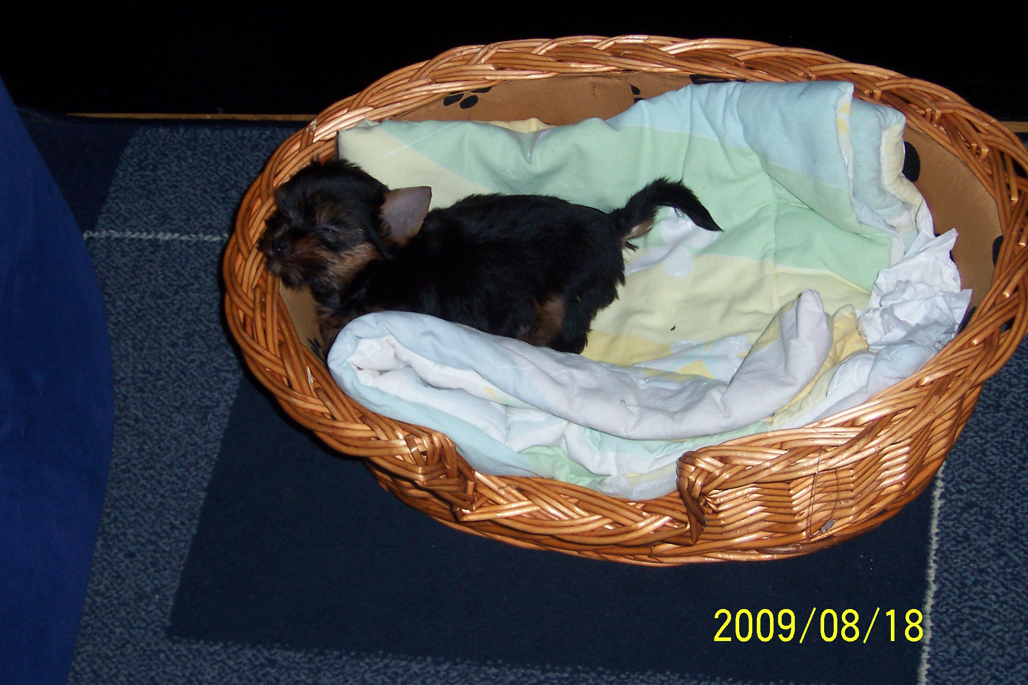 100_9007.jpg