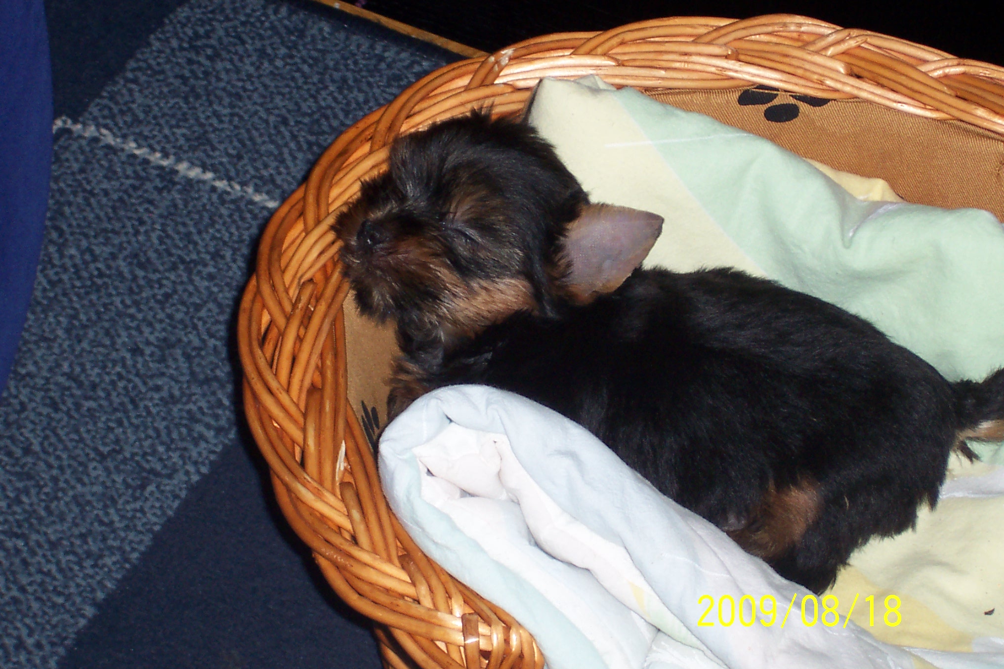 100_9008.jpg