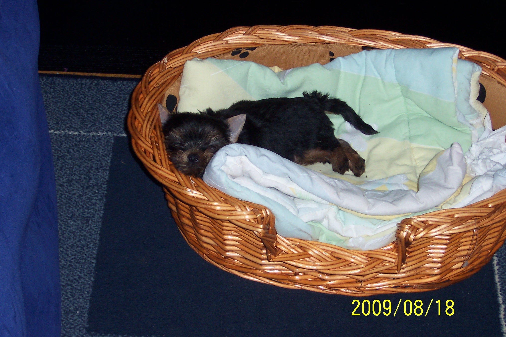 100_9010.jpg