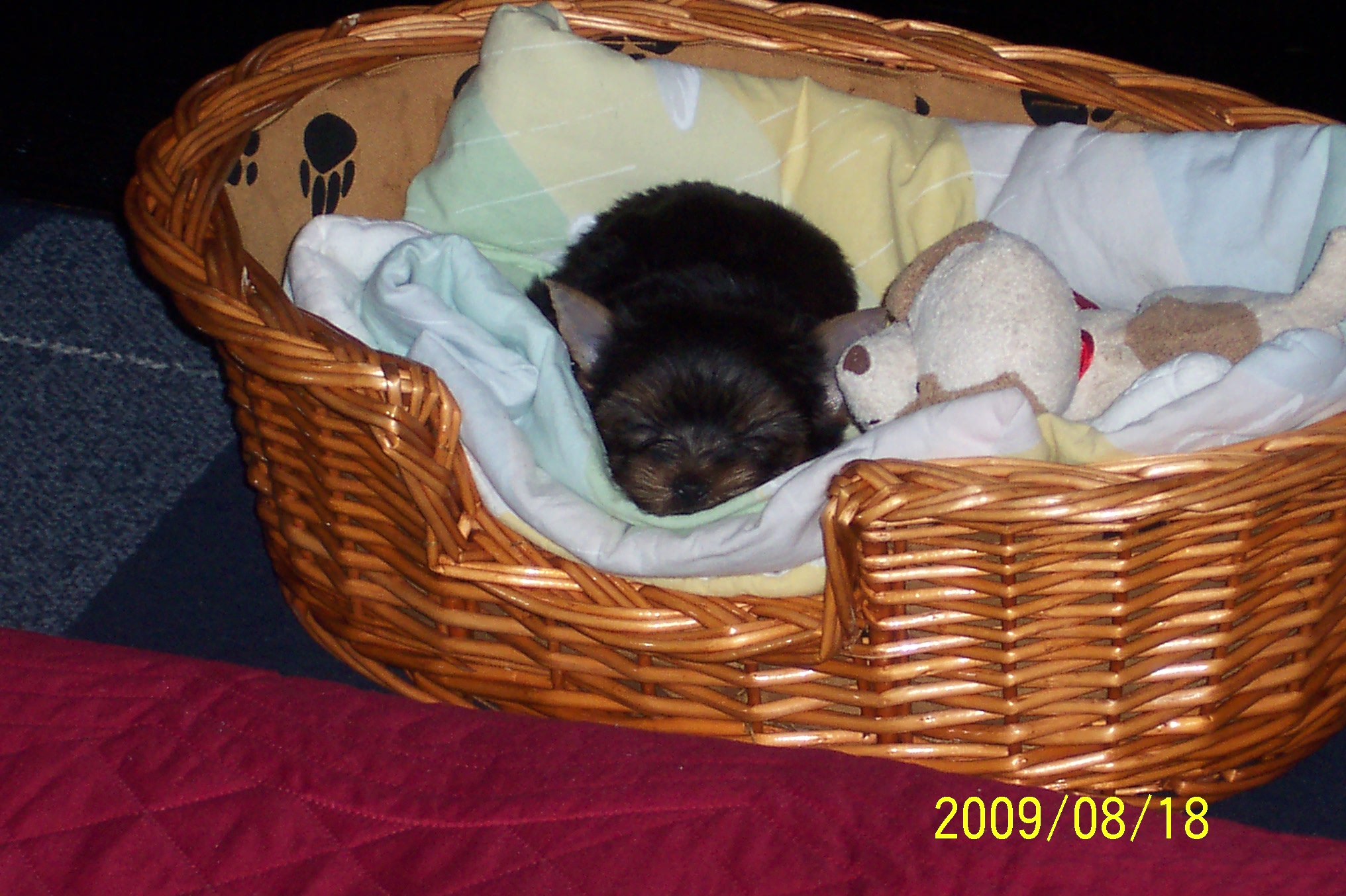 100_9016.jpg