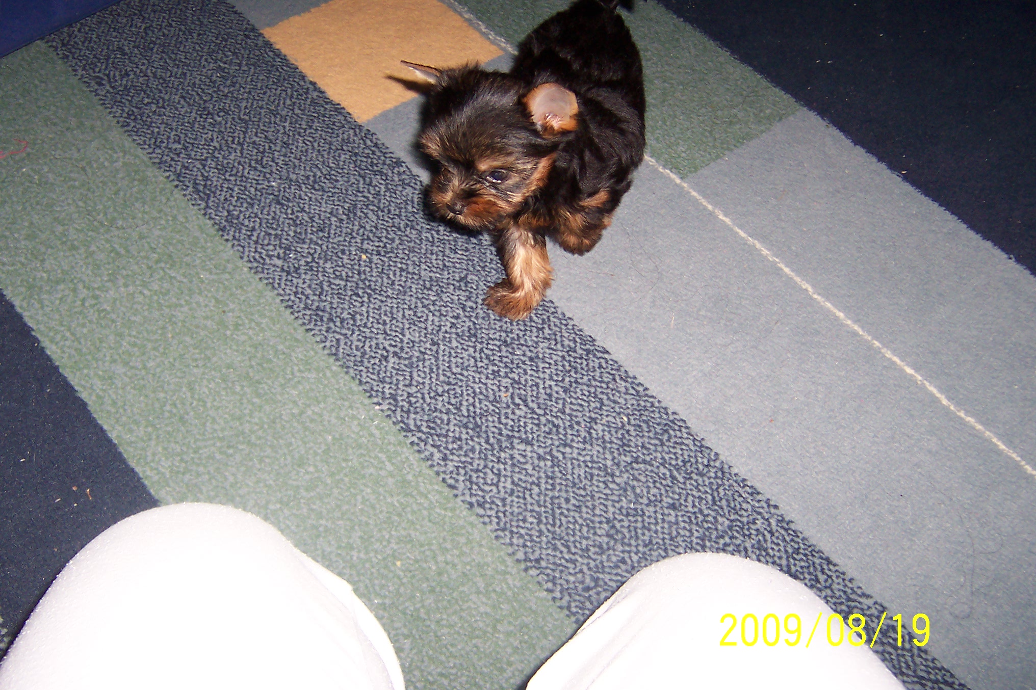 100_9020.jpg