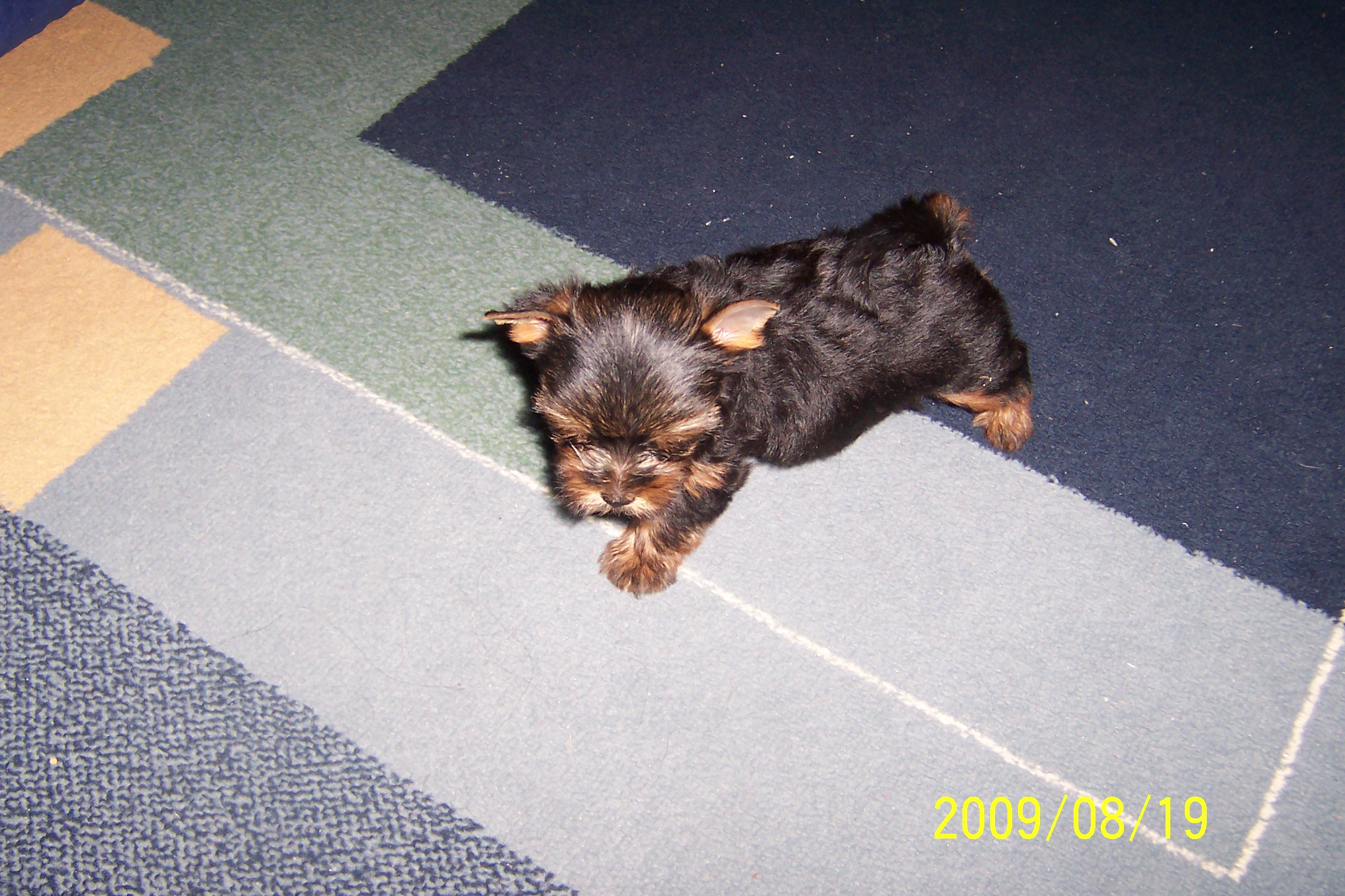100_9022.jpg