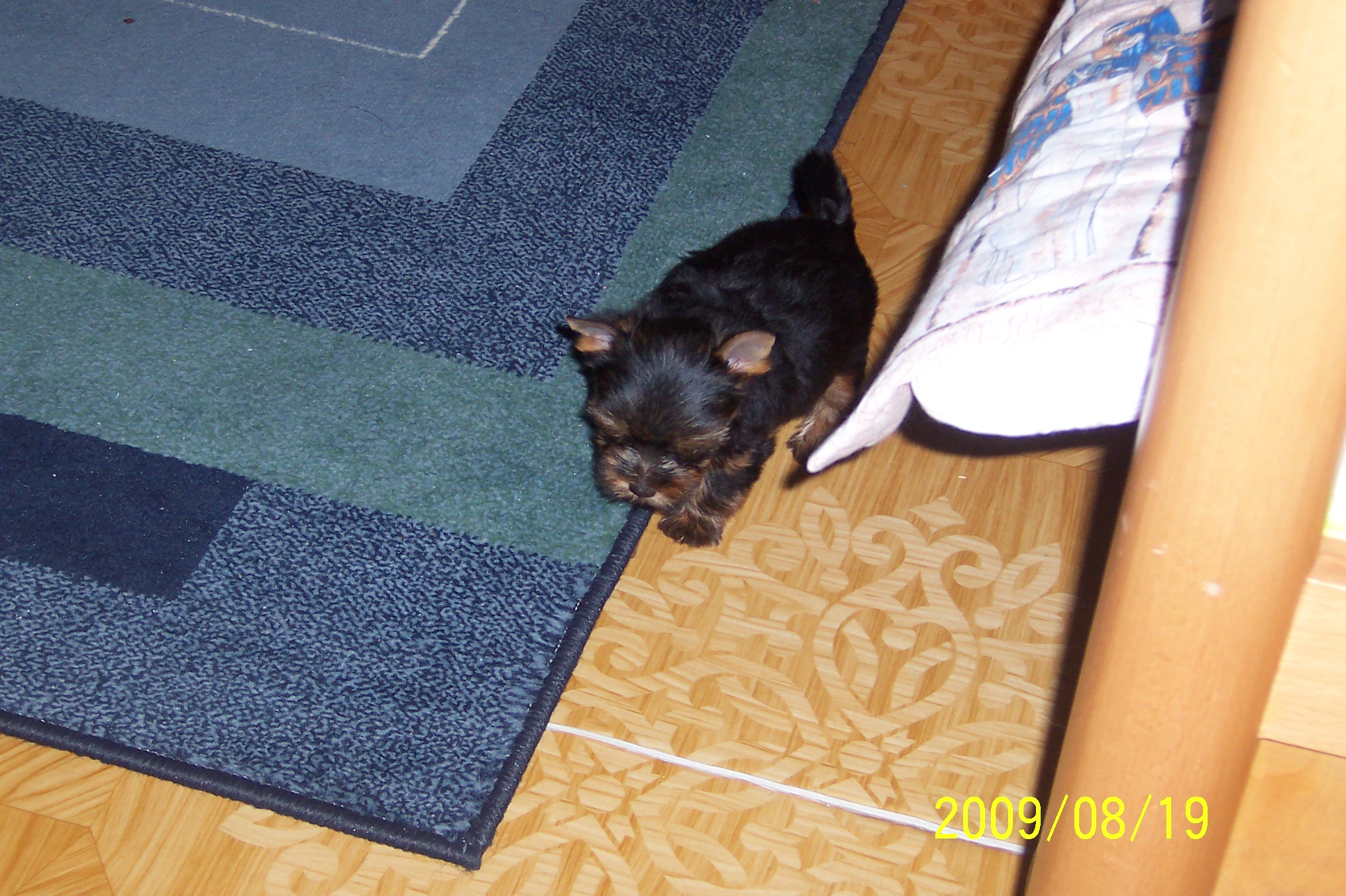 100_9028.jpg