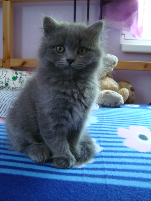 Leslie 2 měsíce.JPG