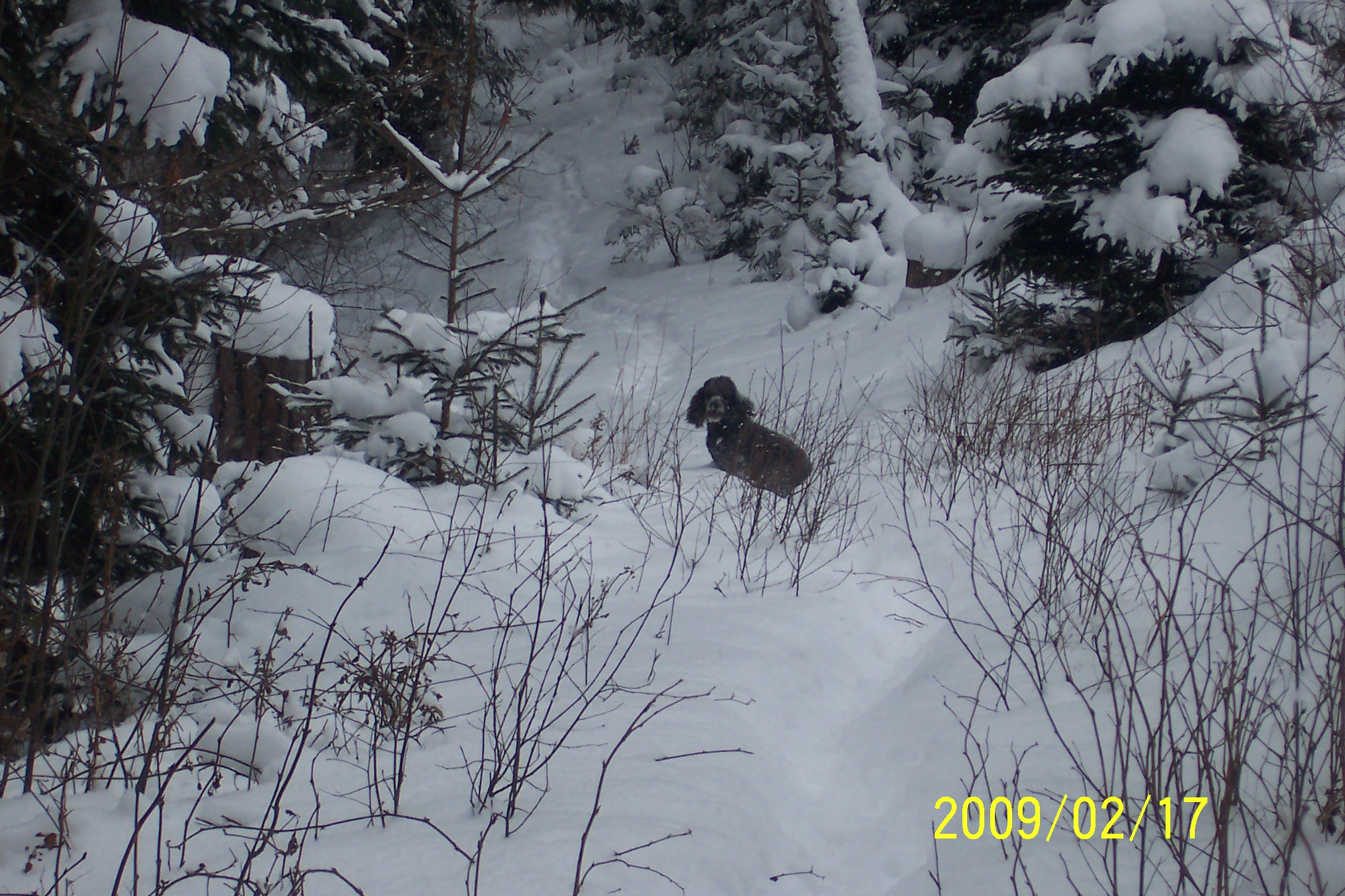 100_7551.jpg