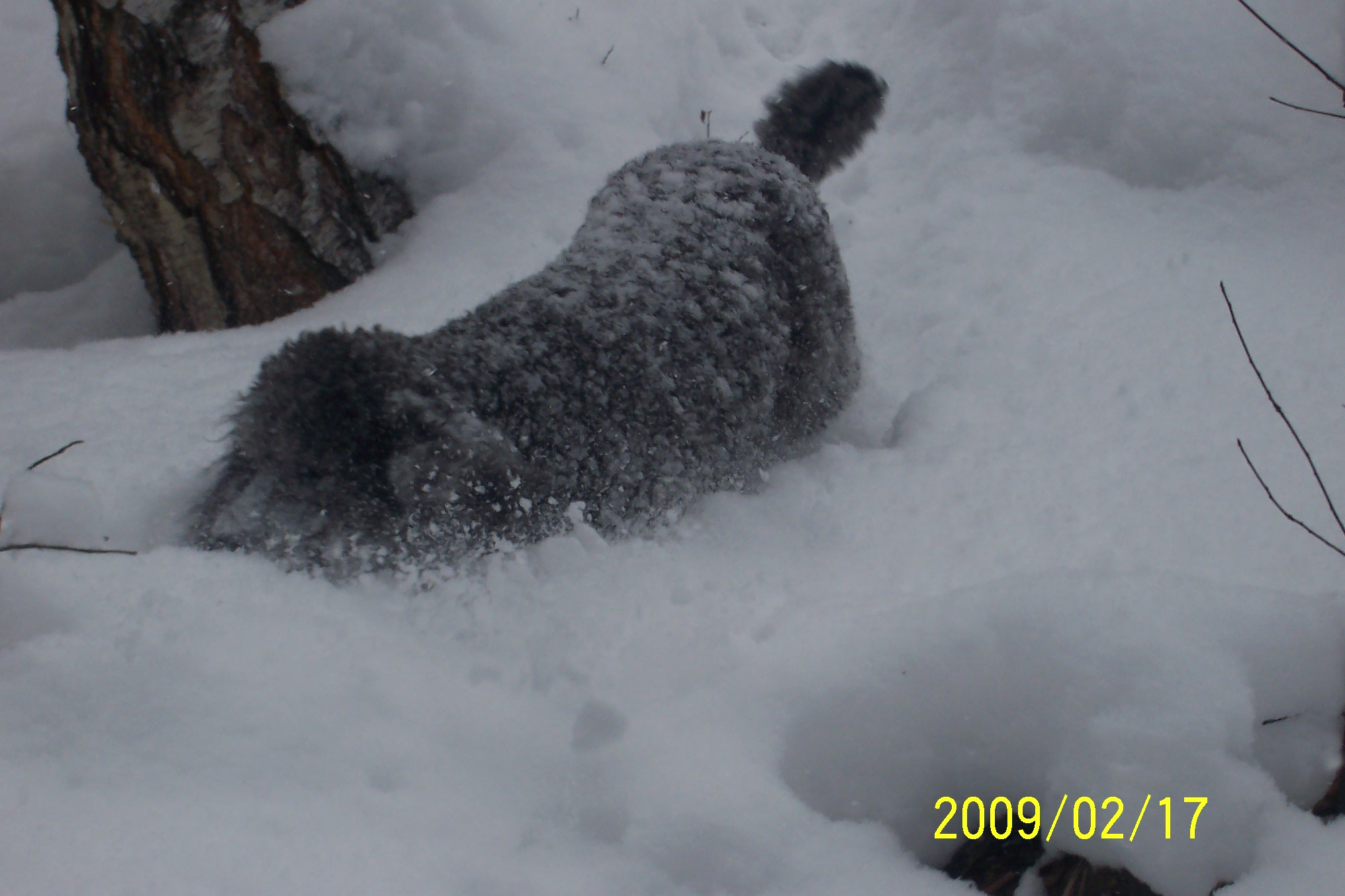 100_7561.jpg