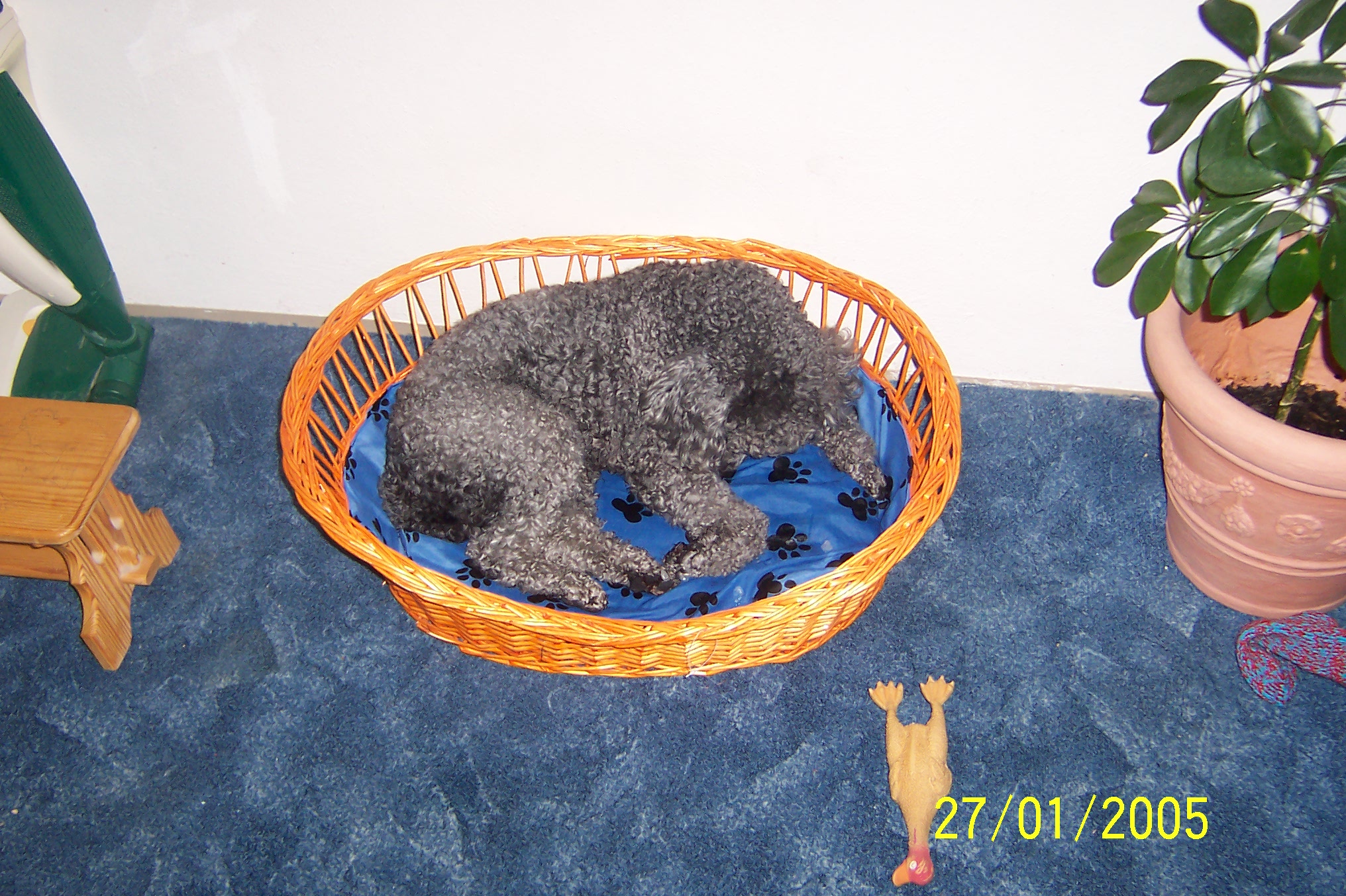 100_2052.JPG