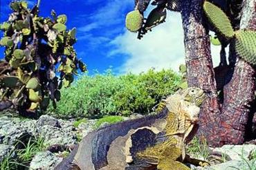 Ekvador-a-Galapagy-816117.jpg