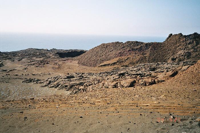 galapagy_2_v.jpg
