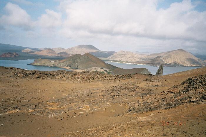 galapagy_3_v.jpg