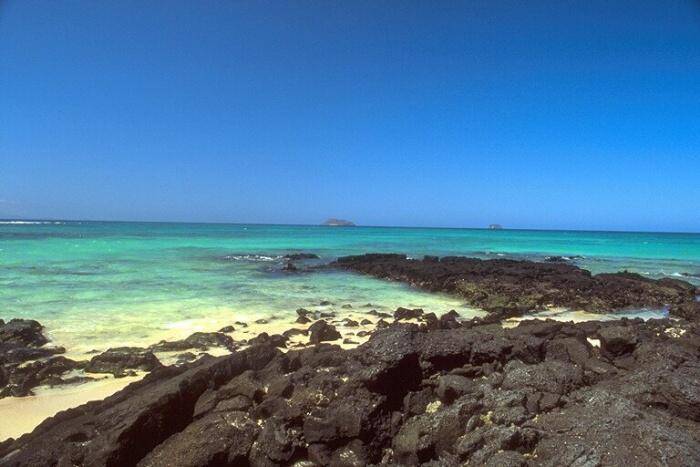 galapagy_7_v.jpg