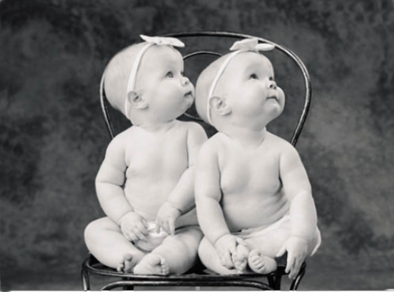 twins.jpg