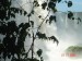 Brazilie-Iguacu-vodopady-Iguacu-7085.jpg